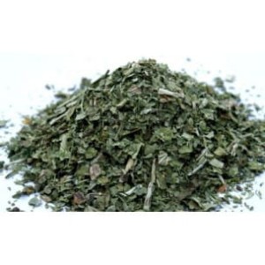 Babka szerokolistna - (Plantago maior)