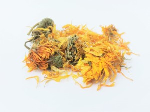 Nagietek kwiat - (Calendula officinalis)  POLSKI