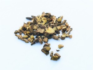 Tarczyca bajkalska  (Scutellaria baicalensis) - korzeń