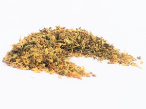 Bez czarny (Sambucus nigra flos) - kwiat
