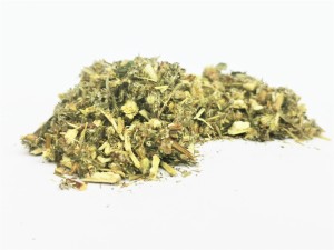 Bylica boże drzewko - ( Artemisia abrotanum) - ziele