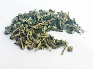 Ziele Damiana - (Turnera diffusa / aphrodisiaca)