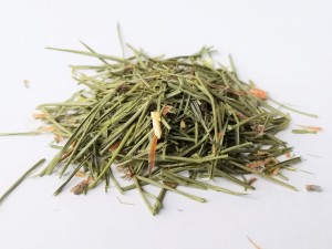 Igły sosny ​(Pinus sylvestris) suszone,  drobno cięte