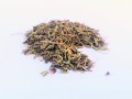 macierzanka (2).jpg