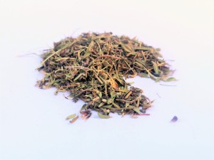 Macierzanka ziele - (Thymus)