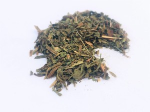 Mniszek liść - (Taraxacum officinale)