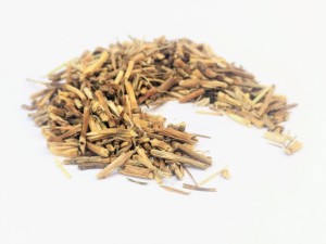 Perz kłącze - (Agropyron repens)