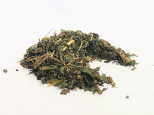 Żywokost lekarski liść - (Symphytum officinale)
