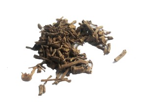 Kozłek lekarski korzeń - ( Radix et Rhizoma Valerianeae)