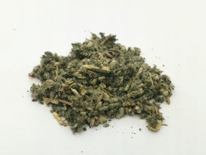 Szanta ziele - (Marrubium )