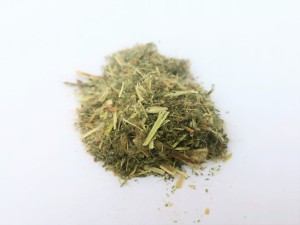 Wierzbownica ziele - (Epilobium parviflorum)