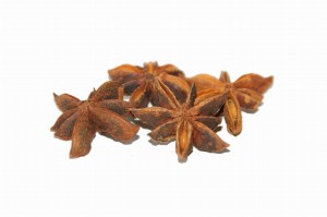 Anyż gwiaździsty (Illicium verum)