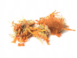 Arnika górska kwiat (Arnica Montana)
