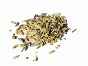 Koper włoski - (Foeniculum vulgare)
