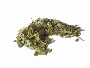 Brzoza liść  suszony - (Betulae folium)