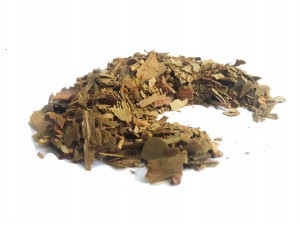 Miłorząb japoński liść - (Ginkgo biloba)