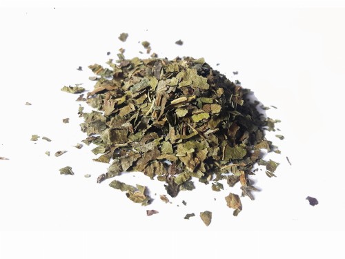 Morwa-lisc1.jpg