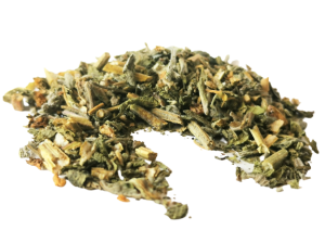 Szałwia lekarska - (Salvia officinalis)