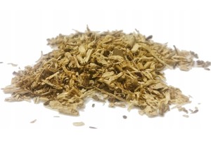 Jeżówka korzeń - Echinacea 