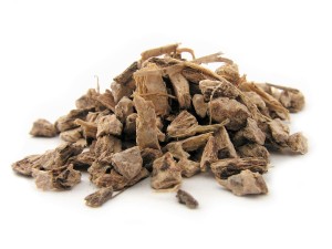Oman korzeń - (Radix Inulae)
