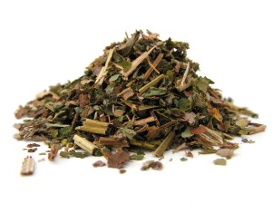 Glistnik jaskółcze ziele - (Chelidonium majus)