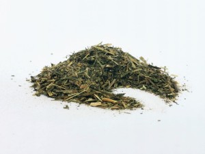 Przytulia ziele - (Galium verum)