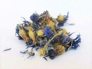 Chaber koszyczek  - (Centaurea cyanus)