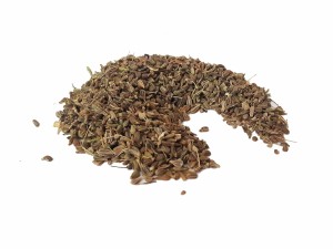 Anyż BIEDRZENIEC ziarno - (Pimpinella major)