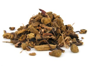 Kobylak korzeń - (Rumex hydrolapathum)