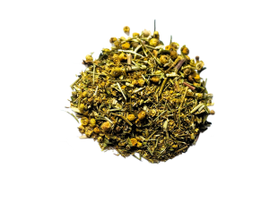 Wrotycz kwiat- (Tanacetum vulgare)