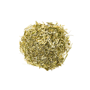 Cykoria podróżnik ziele (Cichorium intybus herba)